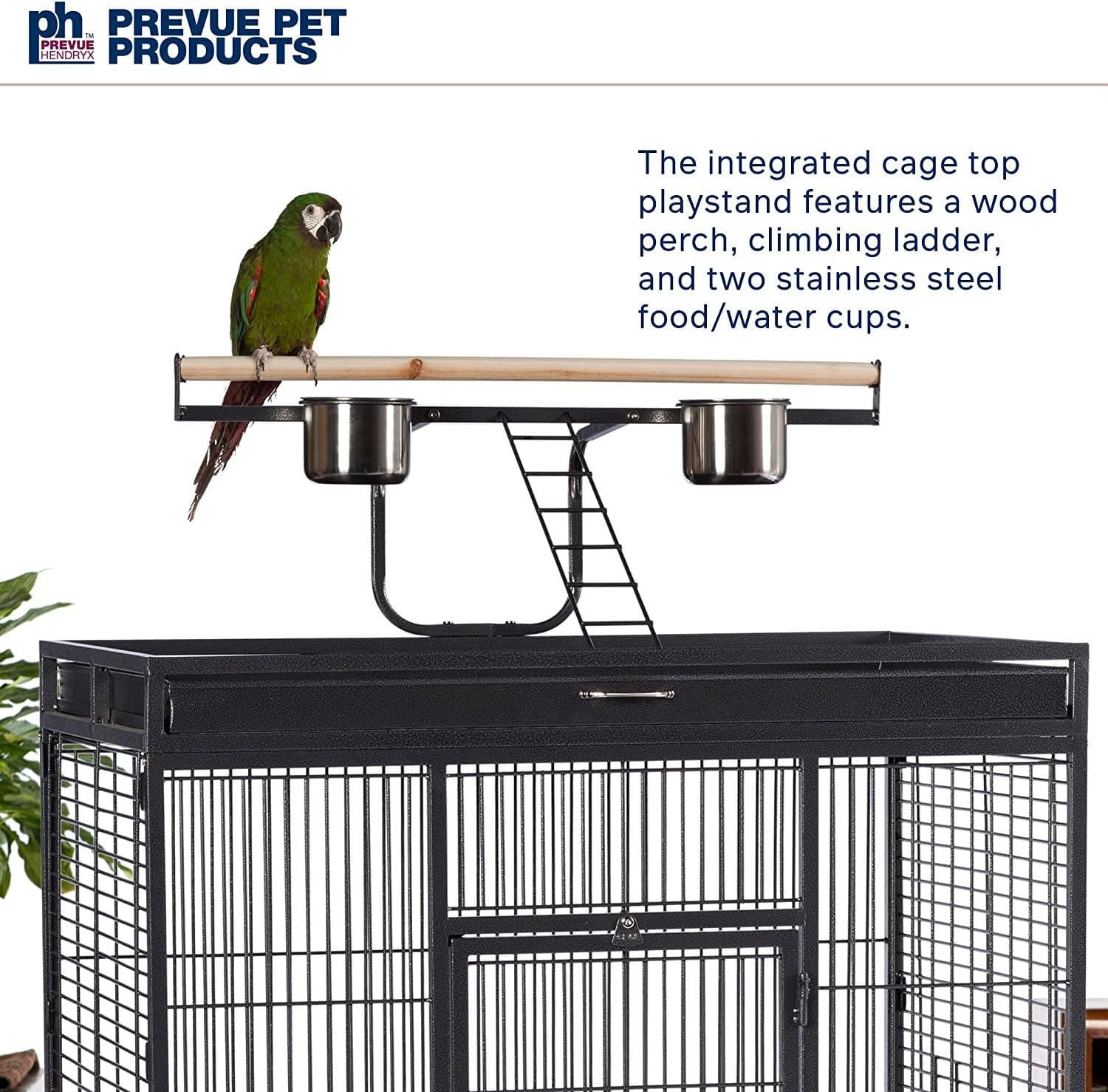 Prevue – Perroquet en fer forgé, noir