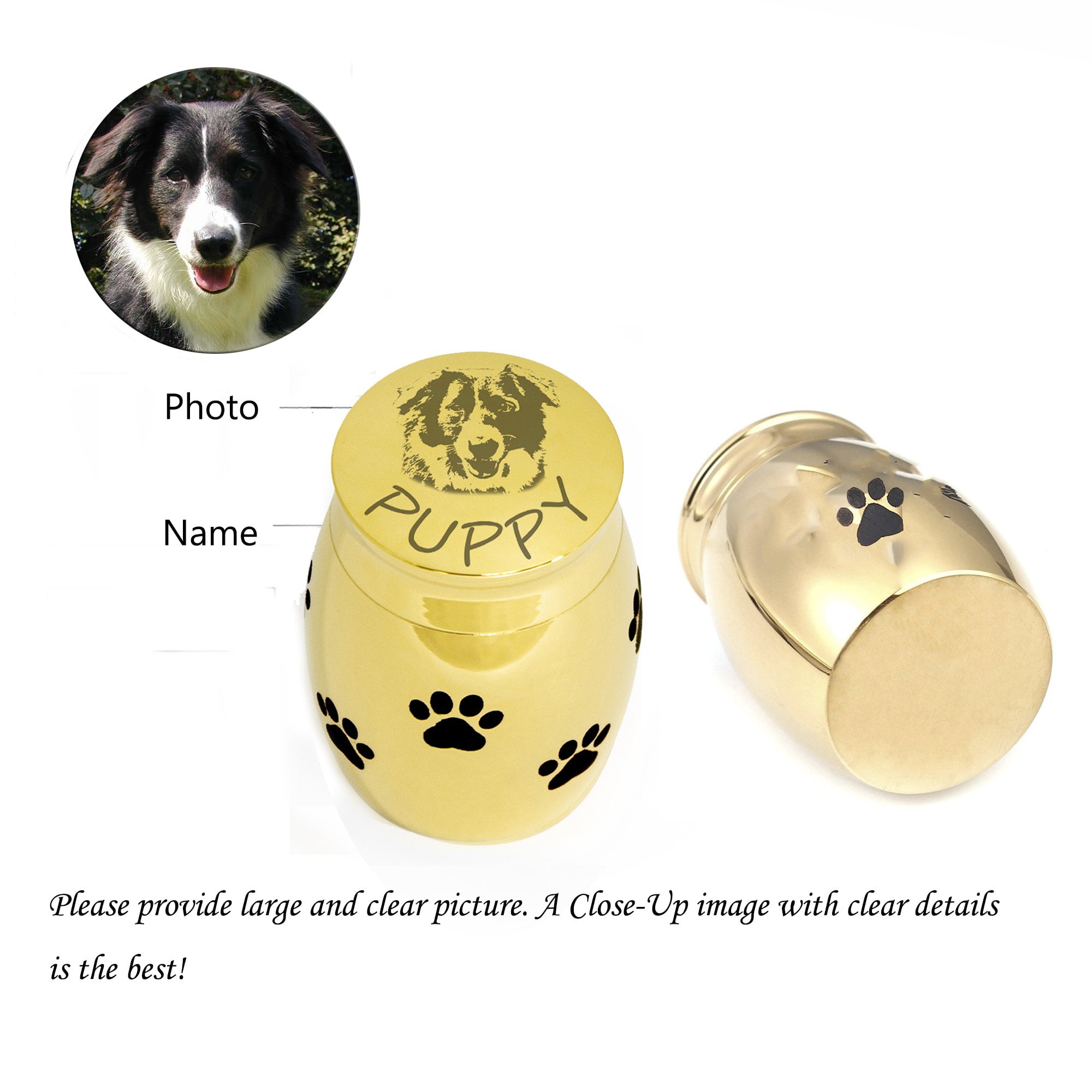 Engravable Pet Portrait Paw Print Mini Urn Personalized Dog Cat Picture Cremation Ashes Holder Custom Memorial Keepsake Vet Jewelry Box