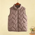 thumbnail image 2 of LSLJS Puffer Vest for Women Winter Fleece Plus Size Stand up Collar Vest Jackets Warm Casual Solid Color Outwear Coats with Pockets, 3XL-5XL, 2 of 4