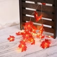 thumbnail image 2 of WLOELOEW Thanksgiving Red Maple Leaf Led String Lights Usb Powered 3 Meters 30 Lights Plastic Fall Harvest Home Decoration For Thanksgiving D, 2 of 9