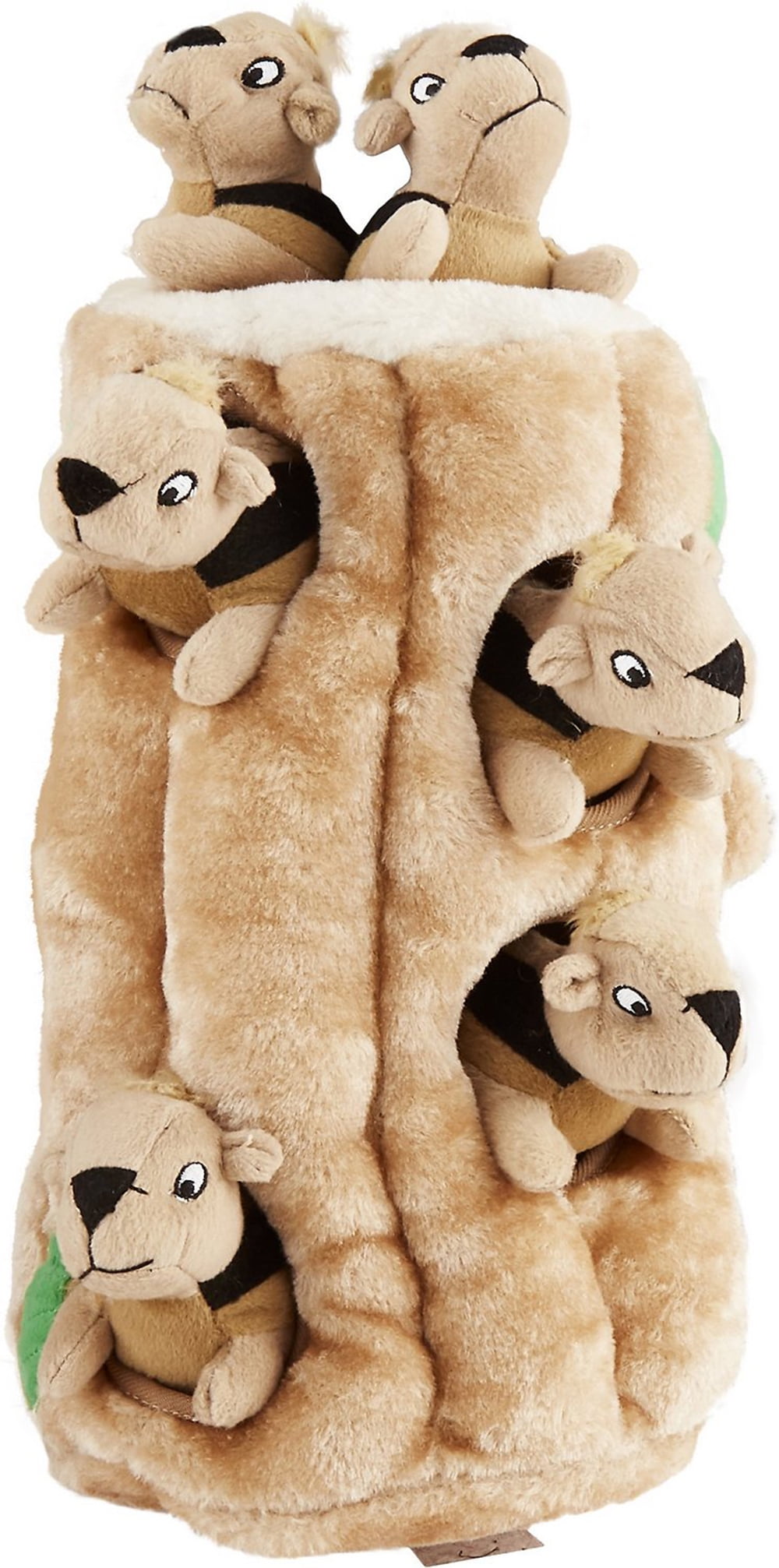 hide a squirrel toy