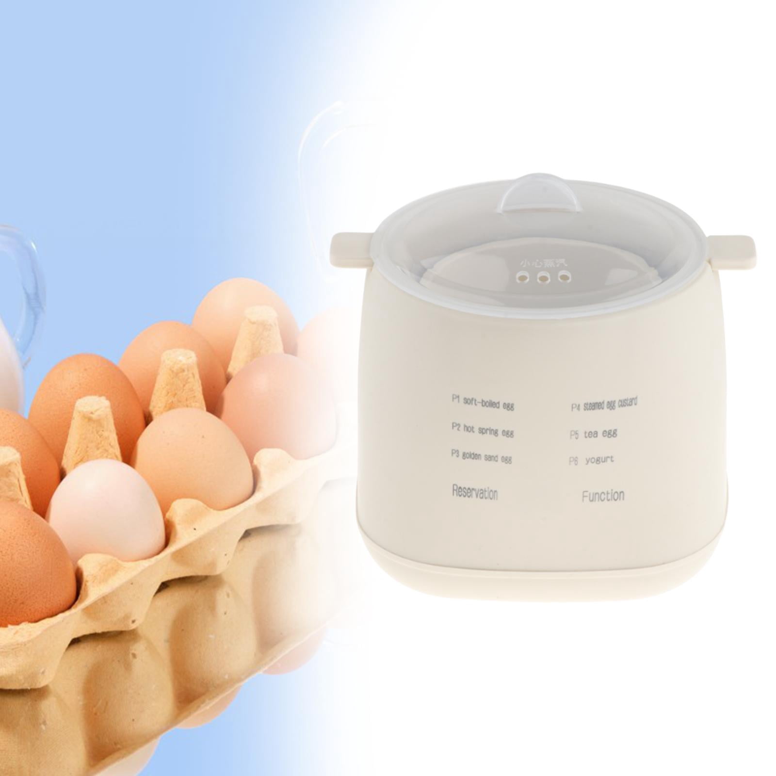 Baoblaze Electric Egg Cooker Cooking Appliance Steamed Egg for Hotel Office Breakfast rack with pp bowl