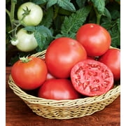 Bonnie Plants Bush Goliath Tomato Bonnie Plants Bush Goliath Tomato Image 5 Of 7