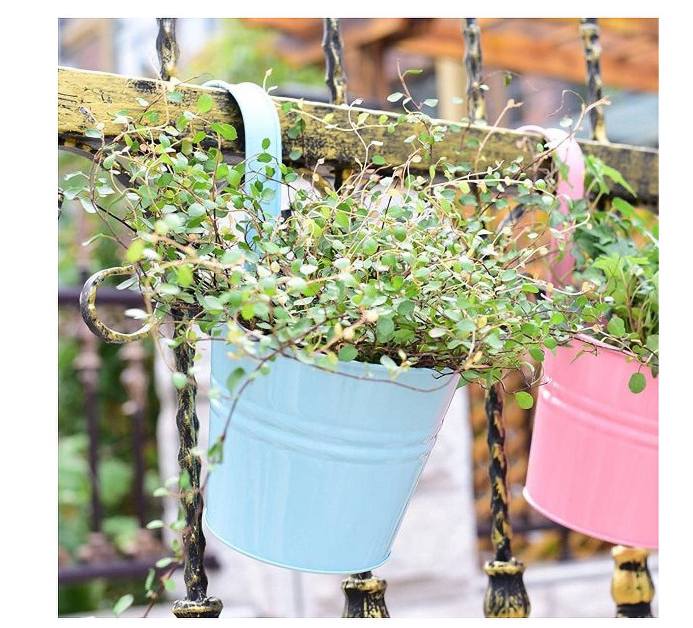 Topboutique 4 Pack Metal Flower Hanging Plant Pot Vase Basket Bucket with Hook - Flower Plant Pots ,Garden Hanger Planter Decor (Pack of 4), Yellow,Blue,Green,Pink