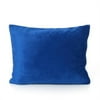 My First Mattress PL-MFPYB-06 Memory Foam Youth Pillow with Free Pillow Case, Blue