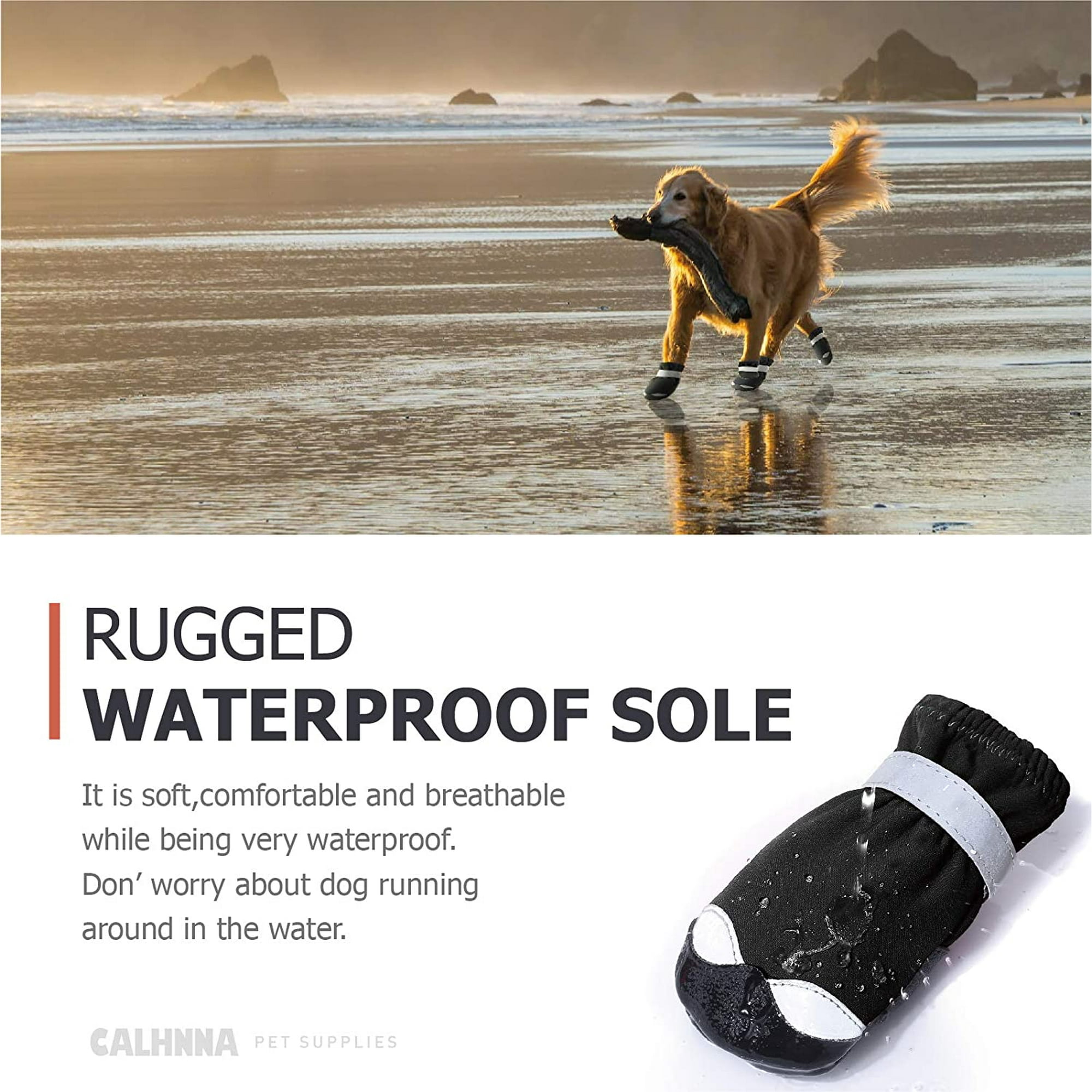 Dog beach shoes hotsell