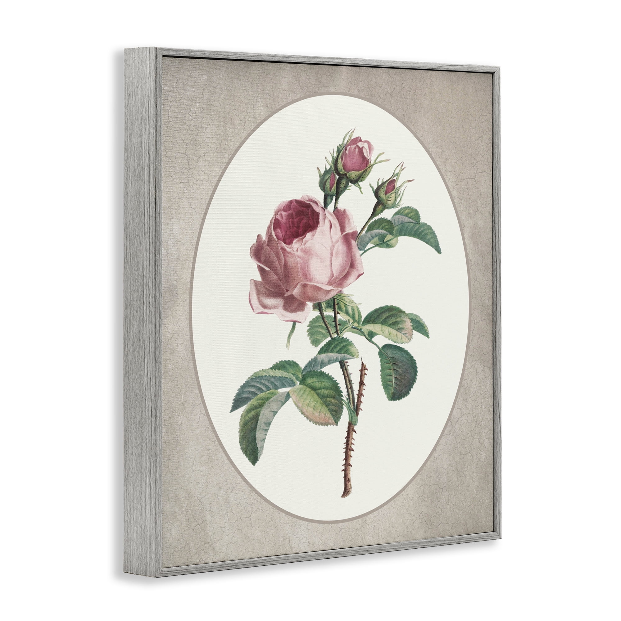 Vintage Rose within Oval Gray Framed Giclee Art, design by Lettered and Lined
