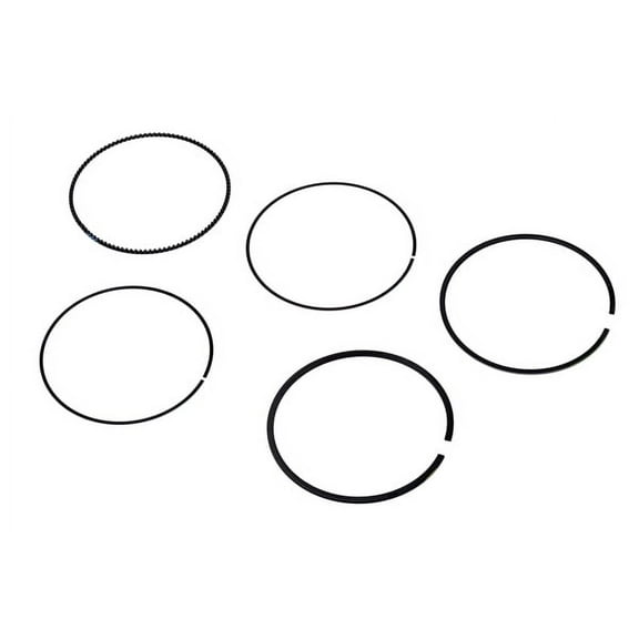 Engine Piston Ring Kit