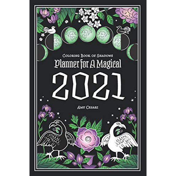 Pre-Owned Coloring Book of Shadows: Planner for a Magical 2021 (Paperback) 1072407310 9781072407317