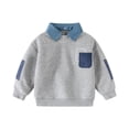 thumbnail image 3 of YOUYEDIAN Toddler Boys Fleece Sweatshirts Casual Cute Long Sleeve Lapel Pullover Sweater, 3 of 5