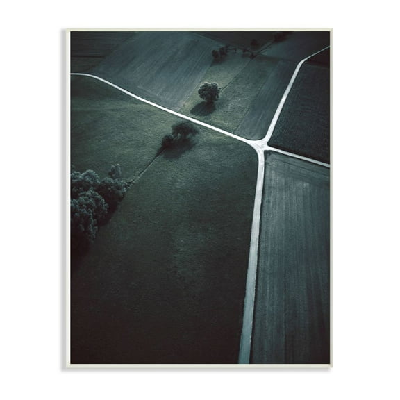 The Stupell Home Decor Collection Crossroads Landscape Photography Wood Wall Art