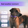 thumbnail image 4 of Collar para perros con luz azul, recargable por USB, con LED, 7 colores, resistente al agua, collar de seguridad con luz y correa ajustable para perros pequeños/medianos/grandes - S, 4 of 5