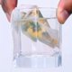 thumbnail image 3 of 100 bolsitas de té desechables - Bolsas de filtro de especias transparentes no tejidas con cordón for té suelto y especias, 3 of 7