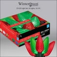 thumbnail image 6 of Wintergreen Lighting C9 Red Green LED Christmas String Lights, Set of 24 Lights on Green Wire, 16.3ft, 6 of 6