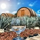 thumbnail image 4 of Pack de 6 Tequila Gran Centenario Plata 700 ml, 4 of 4