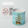 thumbnail image 2 of Carolines Treasures CK4726CDL 3.75 x 3.25 in. Unisex Suphalak Cat Merry Christmas 10 oz Decorative Soy Candle, 2 of 5