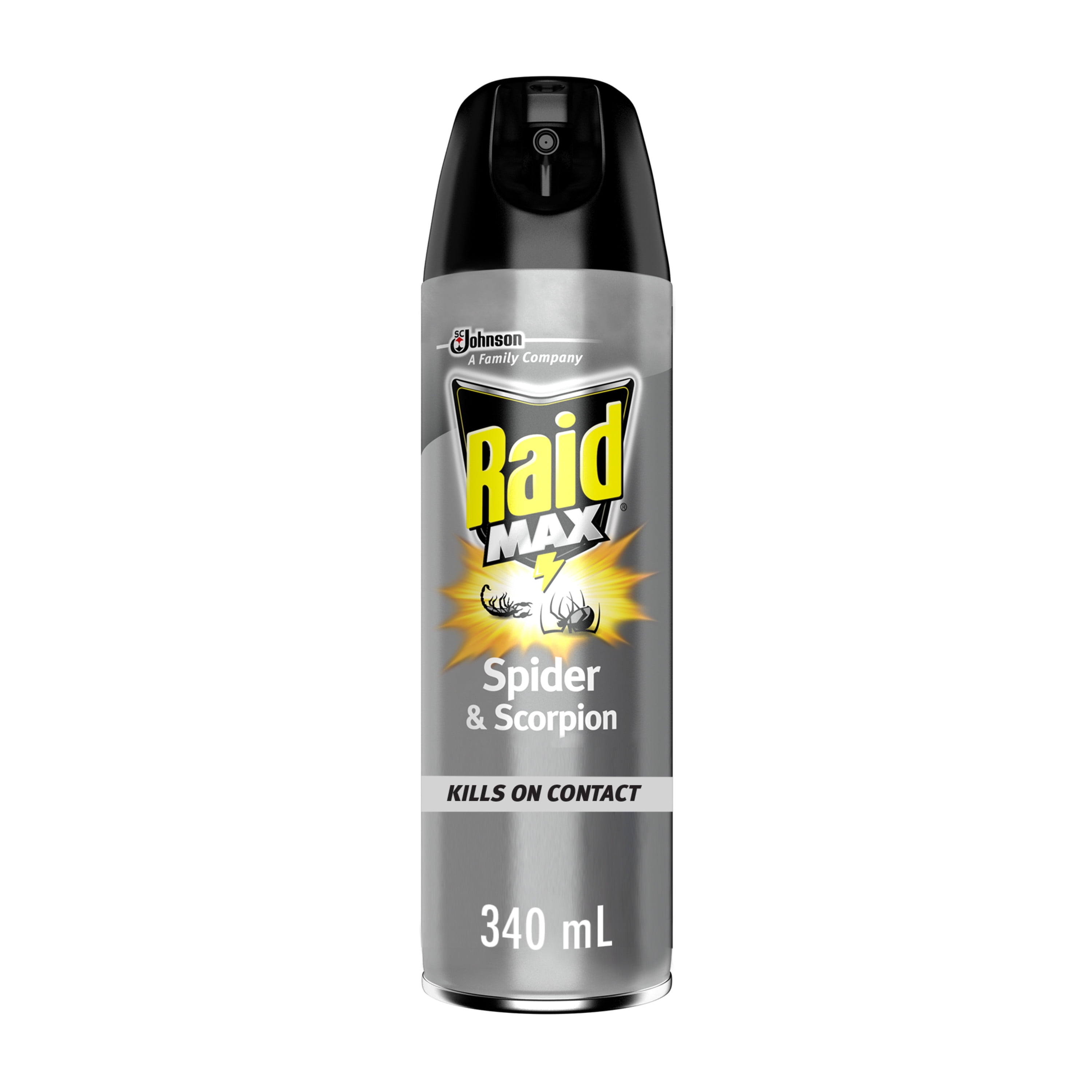 Raid Max Spider & Scorpion Killer, 12 oz