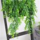 thumbnail image 5 of 2x plantas de hojas largas de eucalipto artificiales, follaje verde para decoración de fiestas-1 Zulema Enredadera de eucalipto artificial, 5 of 8