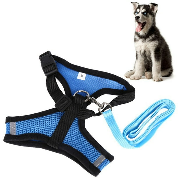 Breathable Mesh Small Dog Pet Harness and Leash Set Puppy Cat Vest