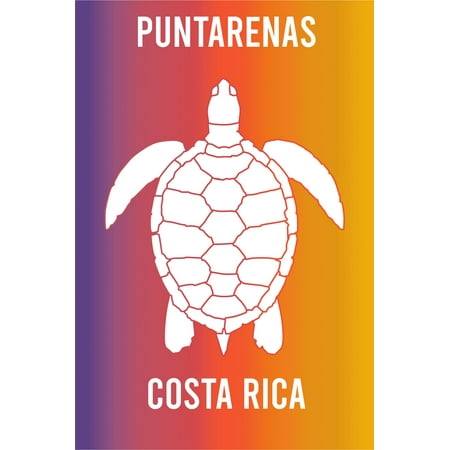 

Punta Vigia Dominican Republic Souvenir 2x3 Inch Fridge Magnet Turtle Design