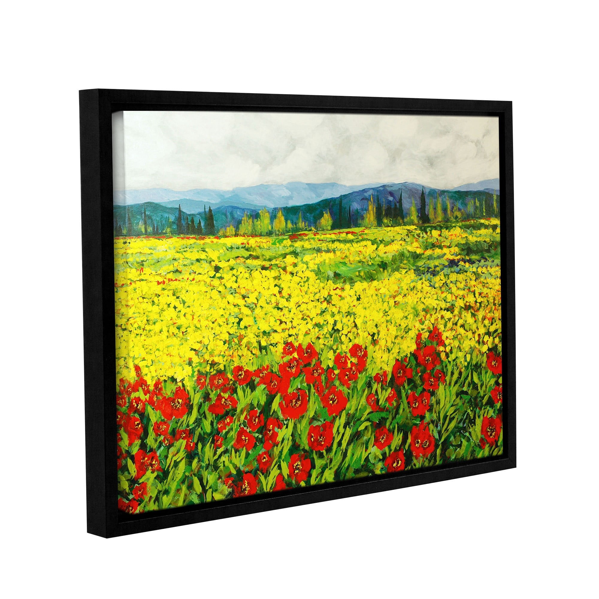 ArtWall Allan Friedlander "Zone De Fleurs" Gallery-wrapped Floater-framed Canvas