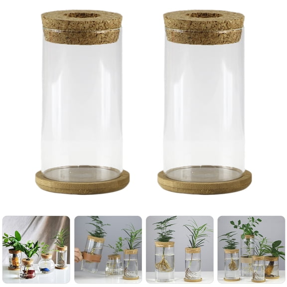 OUNONA  2 Sets Hydroponic Vase Tall Vases for Flowers Floral Arrangements