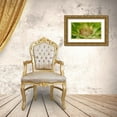 thumbnail image 3 of Simons 14x10 Gold Ornate Wood Framed with Double Matting Museum Art Print Titled - Pineapple Someday, 3 of 4