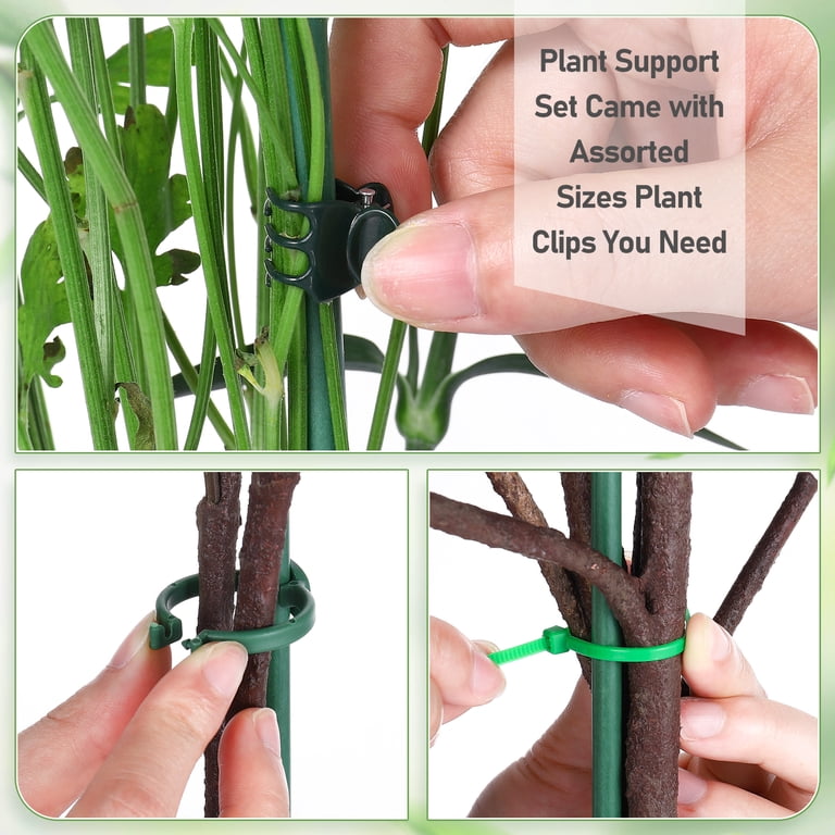 Bocaoying 30-Piece Adjustable Plant Support Stakes photo 6