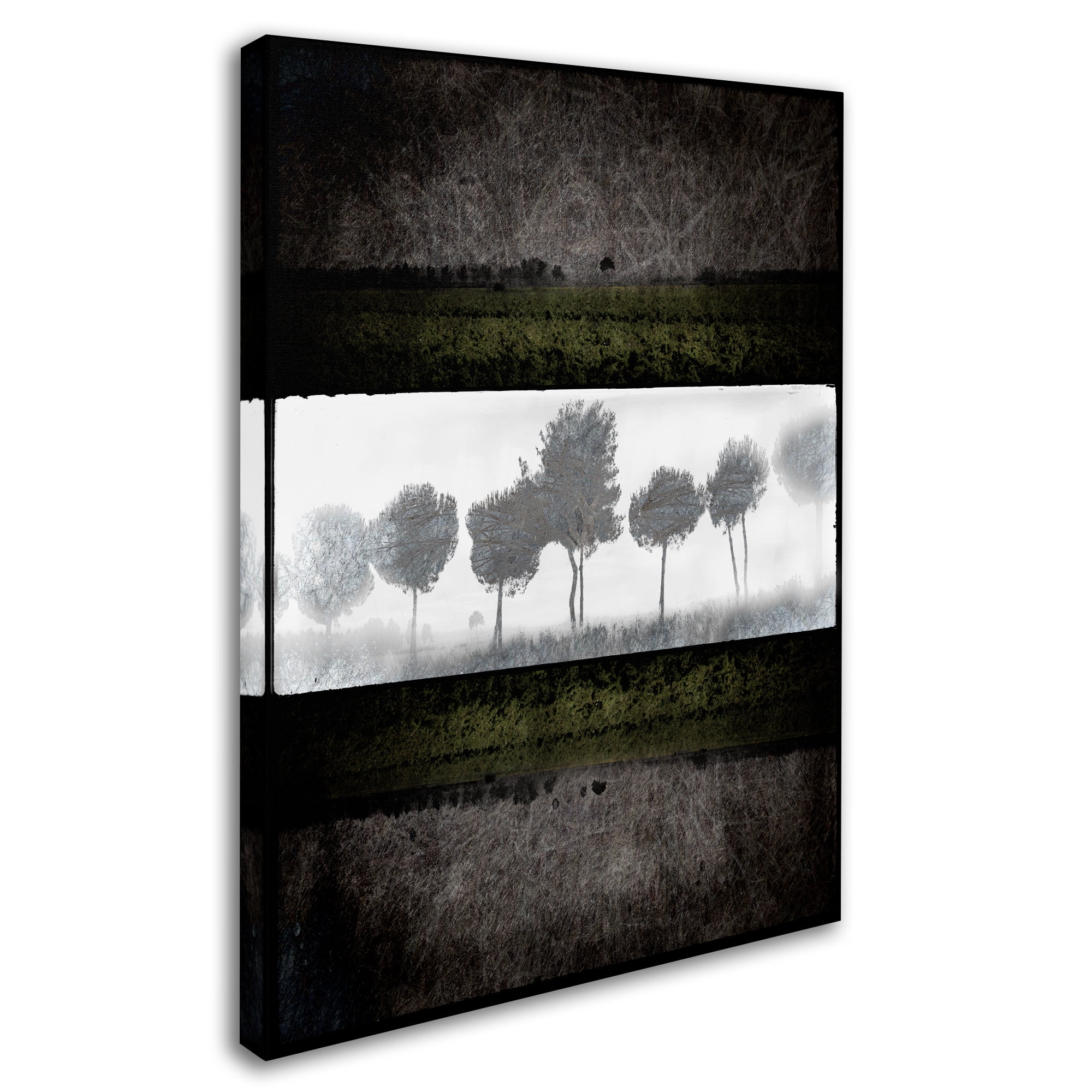 Trademark Fine Art 'Black Tree 2' Canvas Art by LightBoxJournal