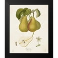 thumbnail image 2 of de Langlois 20x24 Black Modern Framed Museum Art Print Titled - Vintage Pears V, 2 of 5