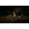 thumbnail image 2 of Swapnil 18x13 White Modern Wood Framed Museum Art Print Titled - Cheetah, 2 of 4