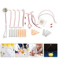thumbnail image 4 of 1 Set Diy Fruit Battery Science Experiment Kit For Students Potato Clock Making Kit Physics Experiment Kits For Kids Fruit Battery Kit, 4 of 8