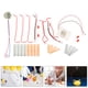 thumbnail image 4 of Kit de experimentos científicos con pilas de frutas para estudiantes, kit para hacer un reloj de patata, kits de experimentos de física para niños, kit de pilas de frutas, 4 of 7