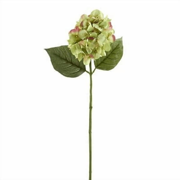 12 Pack: Green Hydrangea Stem by Ashland®