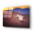 thumbnail image 2 of Epic Art 'Sunset Flight' by Jonathan Ross, Acrylic Glass Wall Art, 24"x16", 2 of 8