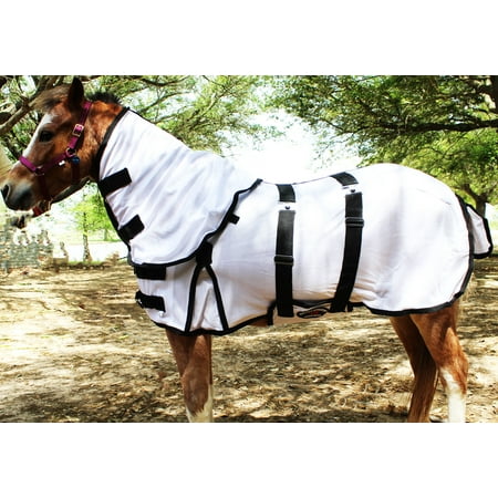 Challenger Miniature Weanling Donkey Pony Horse Foal Fly Sheet Summer Sheet White 51809