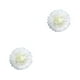 thumbnail image 4 of Monstrate Flores de papel Decoraciones florales para la pared Artesanía Adorno de bricolaje Telón de fondo decorativo Flores de boda Blanco leche 15 cm Blanco Leche 15cm 2piezas Monstrate CBP303994, 4 of 6