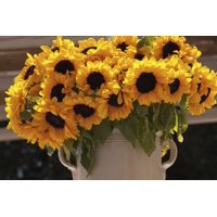 Sunflowers In A Ceramic Vase Puglia Italy PosterPrint