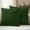 Green, variant on Pack of 2 Outdoor Pillow Covers,Waterproof Solid Brown Throw Pillow Covers,Vintage Minimalism Abstract Denim Pattern Decorative Pillowcases Cushion Covers for Couch Pillow Sham Protector 20x12 Inch