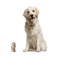 thumbnail image 2 of NOVICA Artisan Handmade Sandstone Sculpture Carved Beige Indonesia Cultural Thought Meditation [7.5 in H x 3.2 in W x 3 in D] 'A 'S Daydream', 2 of 4