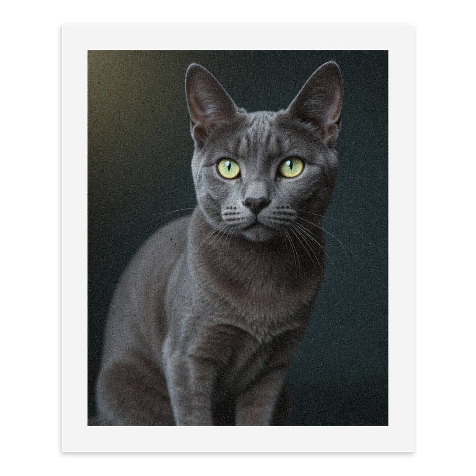 Paint by Numbers Kit for Adults, Gray Cat Green Eyes Elegance Paint by Numbers, Easy Paint by Numbers Kit for Adults Beginner, DIY Adult Paint by Number Kits on Canvas, Home Decor