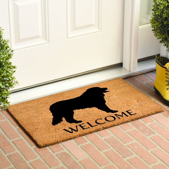 Calloway Mills Bernese Mountain Outdoor Doormat 24" x 36"