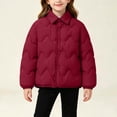 thumbnail image 6 of FAIWAD Kids Quilted Puffer Jacket Reversible Button down Collared Coat Boys Girls Soft Winter Outerwear, 6 of 9