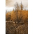 thumbnail image 2 of Vitaly Geyman 28x40 Gallery Wrapped Canvas Wall Art Titled - Spring Serenity I, 2 of 4