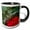 Black/White, variant on 3drose, Cicada, Bug, Member of Family Cicadidae, Insect - Na01 Csl0001 - Charles Sleicher, 11oz Two-tone Black Mug