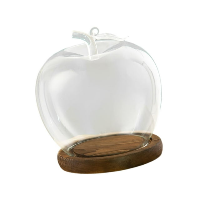 Elodie Pot en Verre Transparent Vide pour Objets de Collection Souvenirs Étagère de Table Café