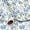 Hydrangea Bird, variant on Floral Wrapping Paper Roll, Blue Hydrangea Flowers Party Gift Wrap for Wedding, Bridal Shower, Baby Shower, Anniversary, Mother's Day, Birthday, Mini Roll, 17 inches x 32.8 Feet