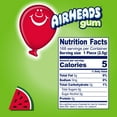 thumbnail image 6 of Airheads Gum, Sugar Free Watermelon, 14 Regular Size Sticks (12 Pack, 168 Total Pieces), 6 of 6
