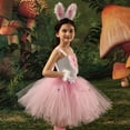 thumbnail image 5 of HAWEE Easter Rabbit Dress for Girls Pink Sleeveless Bunny Tutu Tulle Dress Rabbit Costume 5 PCS Kids Birthday Fancy Dress Up, 5 of 8