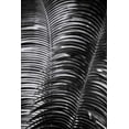 thumbnail image 2 of Aledanda 11x14 White Modern Wood Framed Museum Art Print Titled - Tropical III, 2 of 4
